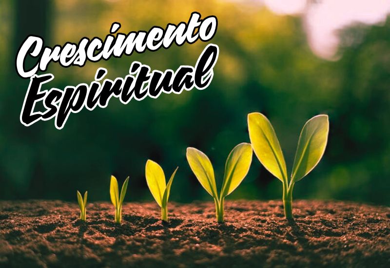 Você já se perguntou como crescer espiritualmente segundo a Bíblia? Muitas pessoas buscam respostas sobre crescimento espiritual, mas acabam se perdendo em ensinamentos confusos. A verdade é que somente em Deus, por meio da fé em Jesus Cristo e da prática da Palavra de Deus, podemos alcançar verdadeira maturidade espiritual. Neste artigo, vamos entender o que é crescer espiritualmente, como aplicar os princípios bíblicos no dia a dia e quais passos seguir para fortalecer a fé e se aproximar mais de Jesus.