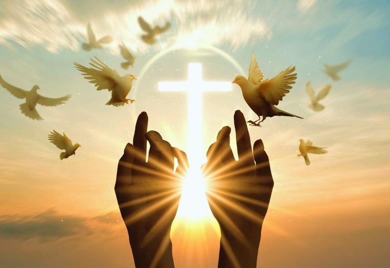 Você já se perguntou o que significa andar no Espírito Santo de Deus? Muitos cristãos têm dúvidas sobre isso. Afinal, o que significa andar em espírito? O que é viver e andar no Espírito Santo? Como ser guiado pelo Espírito Santo todos os dias? A Bíblia ensina que andar pelo Espírito Santo é mais do que seguir regras religiosas: é viver de acordo com a vontade de Deus, permitindo que o Santo Espírito dirija cada passo, pensamento e decisão. É abrir mão da carne, das vontades mundanas e buscar o que agrada ao Senhor.